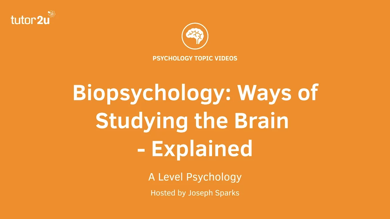 Biopsychology: Ways of Studying the Brain Explained