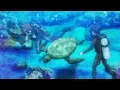 Download Lagu [HD] ぐらんぶる GRAND BLUE OP [湘南乃風 - Grand Blue]