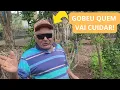 Download Lagu BAIA ESTÁ CONTANDO COM GOBEU PARA CUIDAR DA HORTA!! | VEJA COMO CUIDAR DELA! 