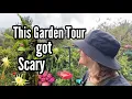 Download Lagu Garden Tour w/Follower Hiding in Bushes a Walk in the Vegetable Gardens after the Windy Thunderstorm