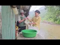 Download Lagu Yen Chi's adoptive mother refused to return to help her father redeem the house