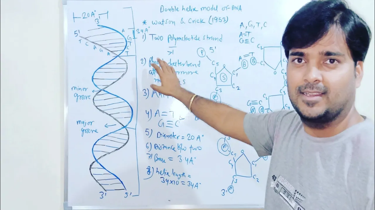 Double Helix Model of DNA | Salient Features of Double Helix DNA | Genetics | Agriculture