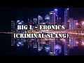 Big L - Ebonics (Criminal Slang) Lyrics in 4K