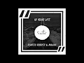 Plastic Robots & Malikk - In Your Life