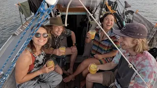 Shrimps on the Barbie WHSE155