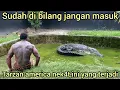 MOMEN MENEGANGK4N TARZAN AMERICA NYAR1S DI SAMBAR BUAYA HITAM RAKSASA DI RIAU