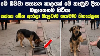 කානුව දිහා මේ බව්වා කාලයක් බලන් හිටියා පස්සෙ විවෘත කරලා බැලුවාම හැමෝම පුදුම වුනා