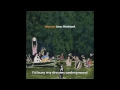 Elephant Gun - Beirut  + Lyrics