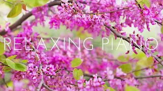 Piano Relaxing Music 🍀 Study Piano Music 🍀 Piano  For Stress Relief 🍀 Music For Studying
