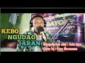 Download Lagu Kebo Ngudag Jaran || Esta Joss || Cover - Iyan Hermawan