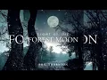 🎼 The Brigand's Song ⭐ Phil Thornton ✨ Ambient Music
