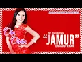 Download Lagu Cita Citata - Jamur (Breakdhut)