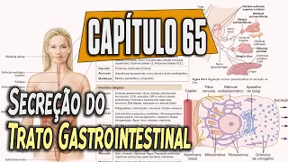 Physiology - Secretory Functions of the Alimentary Tract (Chapter 65) PART 1│ GUYTON