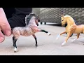 The Stallion's Fall episode 1: The Fight