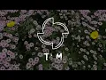 Caius - Your Love (feat. Neigh)