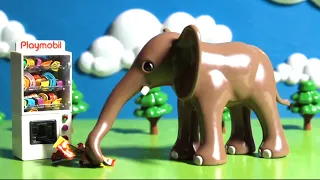 코끼리, 동물원을 탈출하다! Elephants escape the zoo!