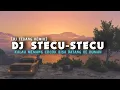 Lagu DJ STECU STECU |kalau memang cocok bisa datang kerumah (DJ TEBANG REMIX)