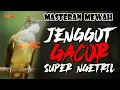 Download Lagu CUCAK JENGGOT GACOR MBESET NGETRIL SUPER MEWAH