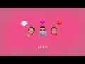 王ADEN - 【想了你6次】(audio)