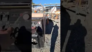                     دندنها