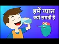 Download Lagu हमें प्यास क्यों लगती है | Why Do We Drink Water In Hindi | Dr.Binocs Show | Importance Of Water