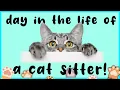 Day in the life of a Cat Sitter cat sitting a Norwegian Forest cat