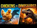 Chickens Are Secretly Dinosaurs Scientists Finally Prove It