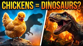 Chickens Are Secretly Dinosaurs Scientists Finally Prove It
