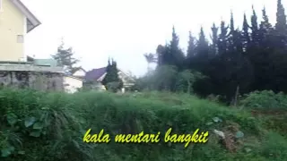 nyanyian burung dan pepohonan ebiet g ade
