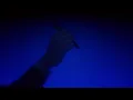 【Ado】初夏 (Shoka) Teaser