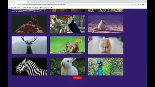 i completed Image Search Engine Using HTML CSS and JavaScript