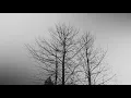 Demon Hunter - Fear Is Not My Guide [Lyrics]