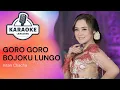 Download Lagu Karaoke - GORO GORO BOJOKU LUNGO - Intan Chacha | LANGGENG MUSIC DIGITAL