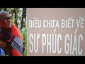 Download Lagu Sư Phúc Giác. Sư Minh Tuệ ở đâu và các tin thời sự.