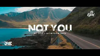 dj not you slow remix alan walker ft emma steinbakken not you remix 