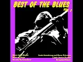 Dust My Broom - Elmore James