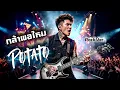 กล้าพอไหม - Potato [Cover Rock Ver.]