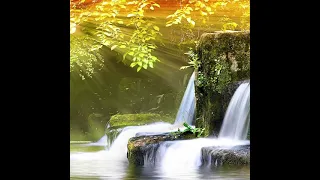 رائعة فصلت ميت ابو خالد 1991 الشيخ الشحات محمد أنور 