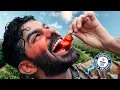 Download Lagu I Tried the World’s Hottest Pepper 🌶️ (I Couldn’t Breathe)