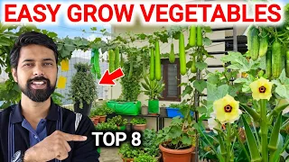 Top 8 Vegetables to Grow at Home | Small Space Gardening