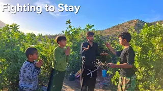 the arrival of the landowner a shocking and emotional moment for an orphaned nomadic family 
