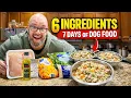 This Homemade Dog Food Feeds My Dog for 7 Days