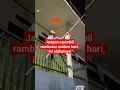 Download Lagu Nekat petik rambutan malam-malam ini yang terjadi #shorts #buah #rambutan