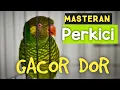 Masteran /Pancingan#perkici #tembakankasar #tembakanistimewa #masteranmuraibatufullisian