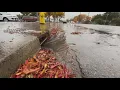 California Storm Watch Public works crews community members prepare for Lodi flooding