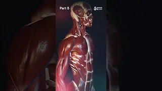 الحزن على العين Eyes Doctor Trending Viral Explorepage Like Sad الحزن 