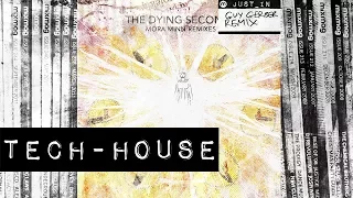 TECH HOUSE The Dying Seconds Mora Minn Guy Gerber Remix Dub Rumours 