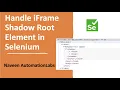 Handle tricky iframe Shadow Root WebElement using Selenium