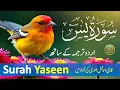 Lagu Best Surah Yaseen Recitation | Powerful Quran Tilawat to Cleanse Your Soul | سورة يس | Daily Quran