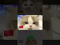 Tab Tabi Tab Cat Meme VS German Cat Meme VS Chinese Cat Meme  #blipcut #blipcutvideotranslator